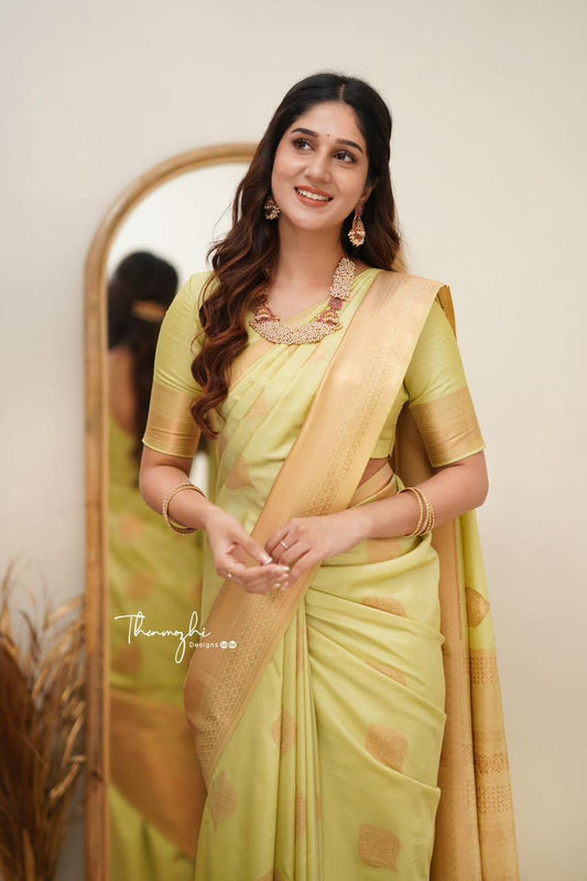 .Attractive Silk Saree
