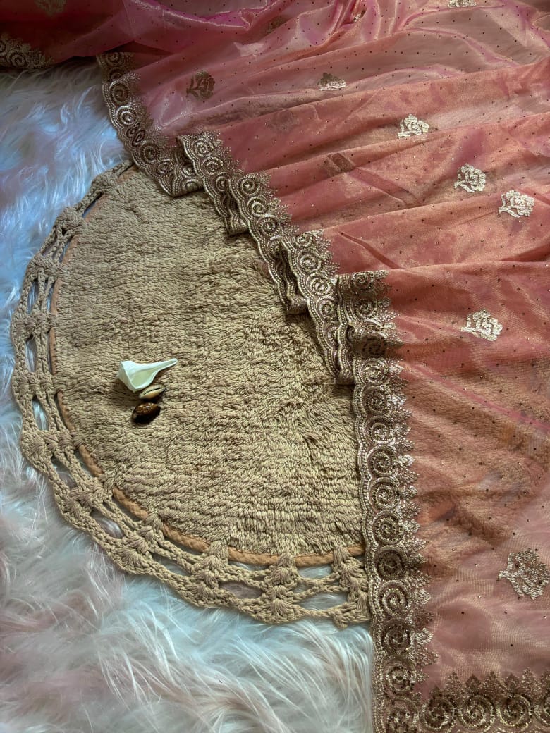 . Latest Soft Net Saree