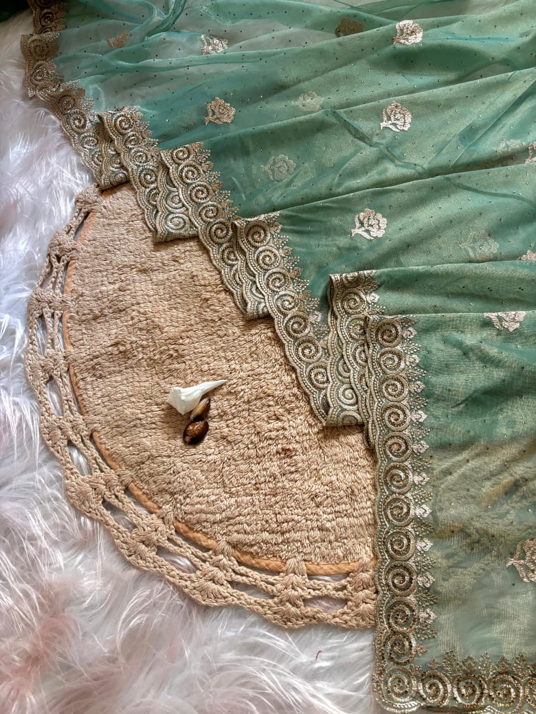 . Latest Soft Net Saree
