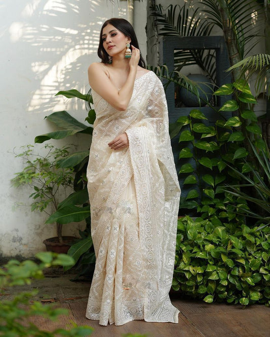 A Summer Special Silk Organza Saree