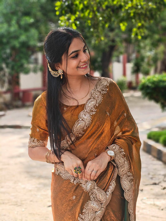 Shaded Fendy Chiffon Saree Multi Embroidery Sequins